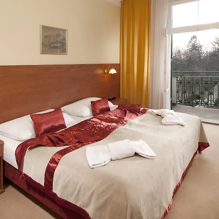 Pawlik-aquaforum ホテル Františkovy Lázně